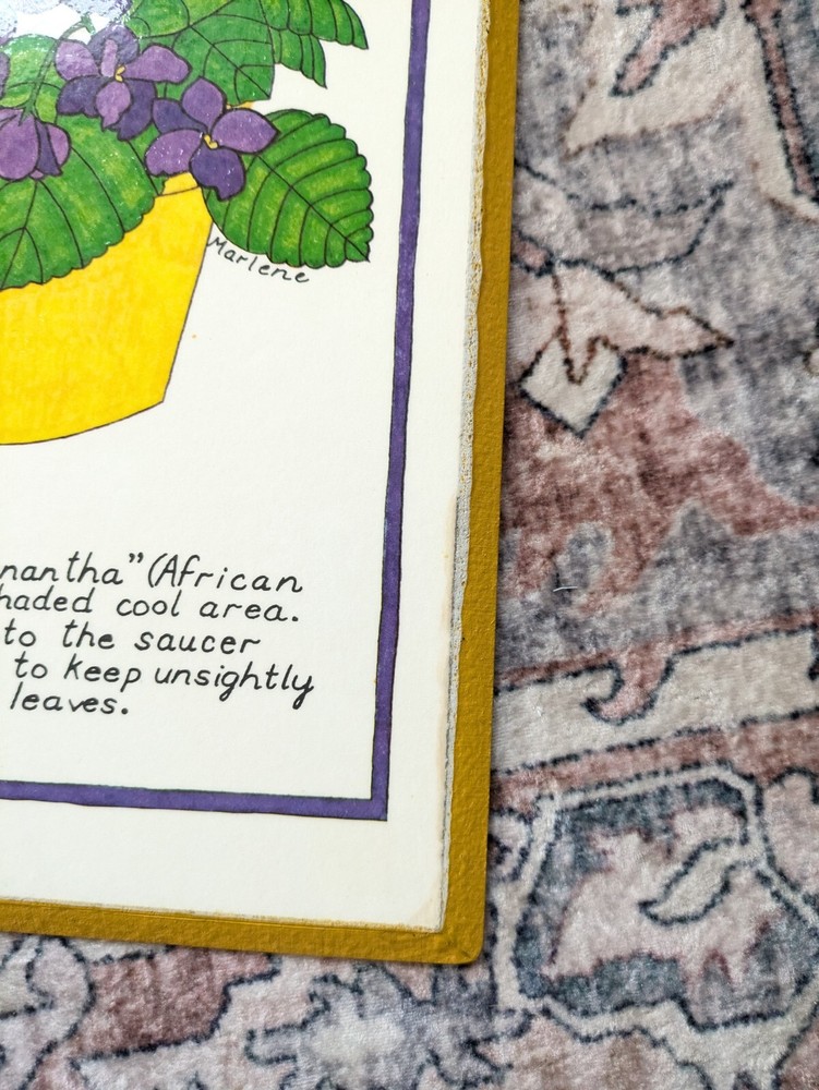 Vintage 1970 Marlene African Violet Illustration Word Artwork