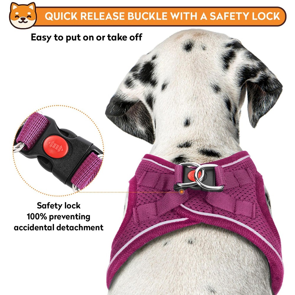Dog Harness with Leash Set, No-Pull Step-in Reflective Pet Harness with 1 Lea...