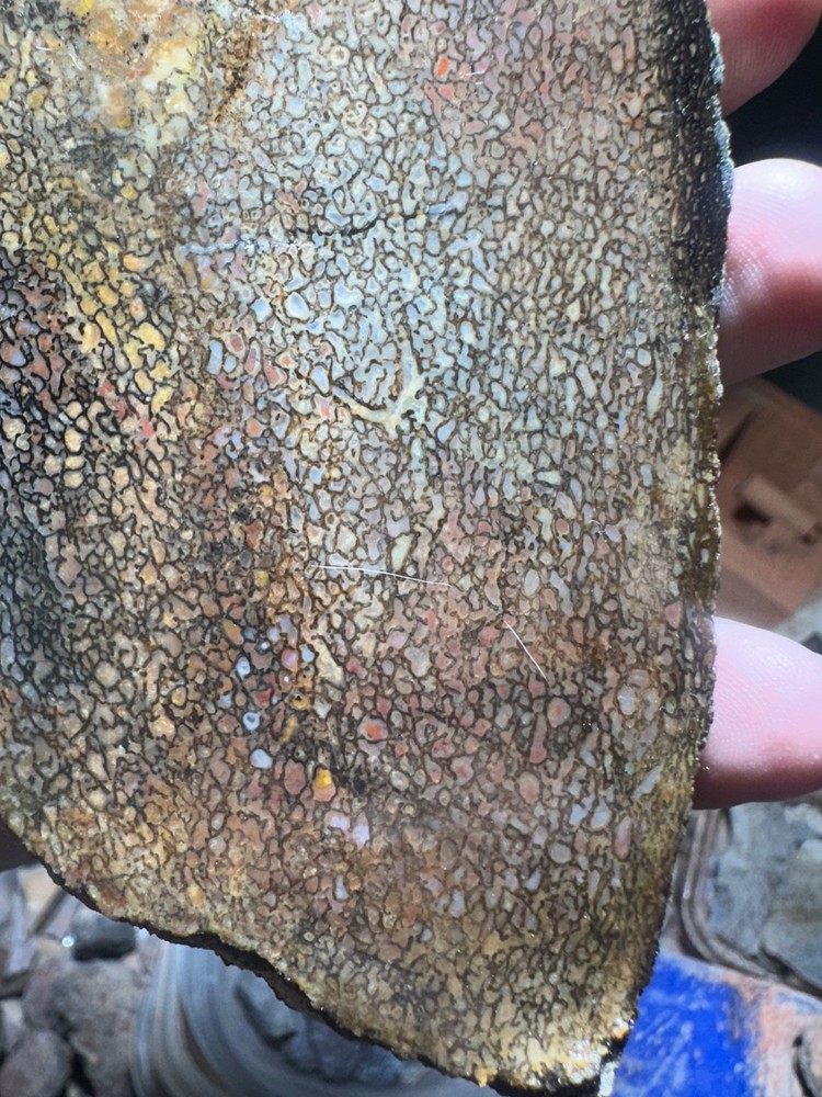 Dinosaur bone rough **hxtled slab.