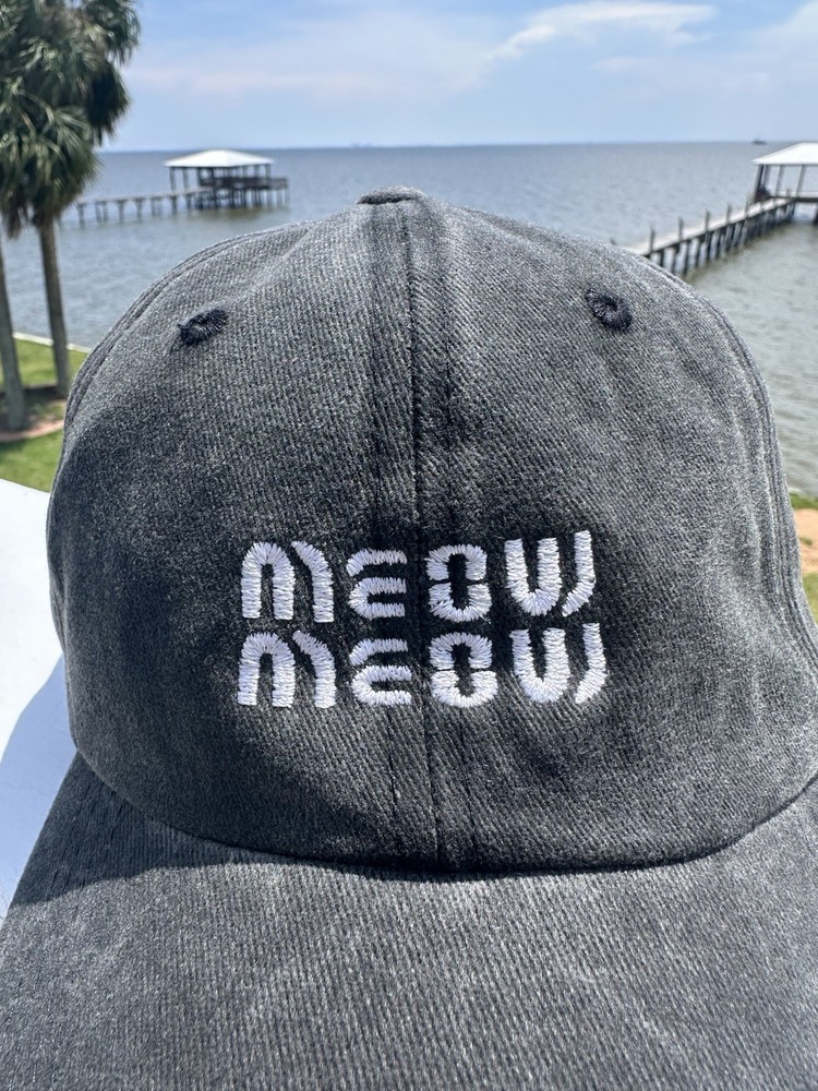 Meow Meow Hat
