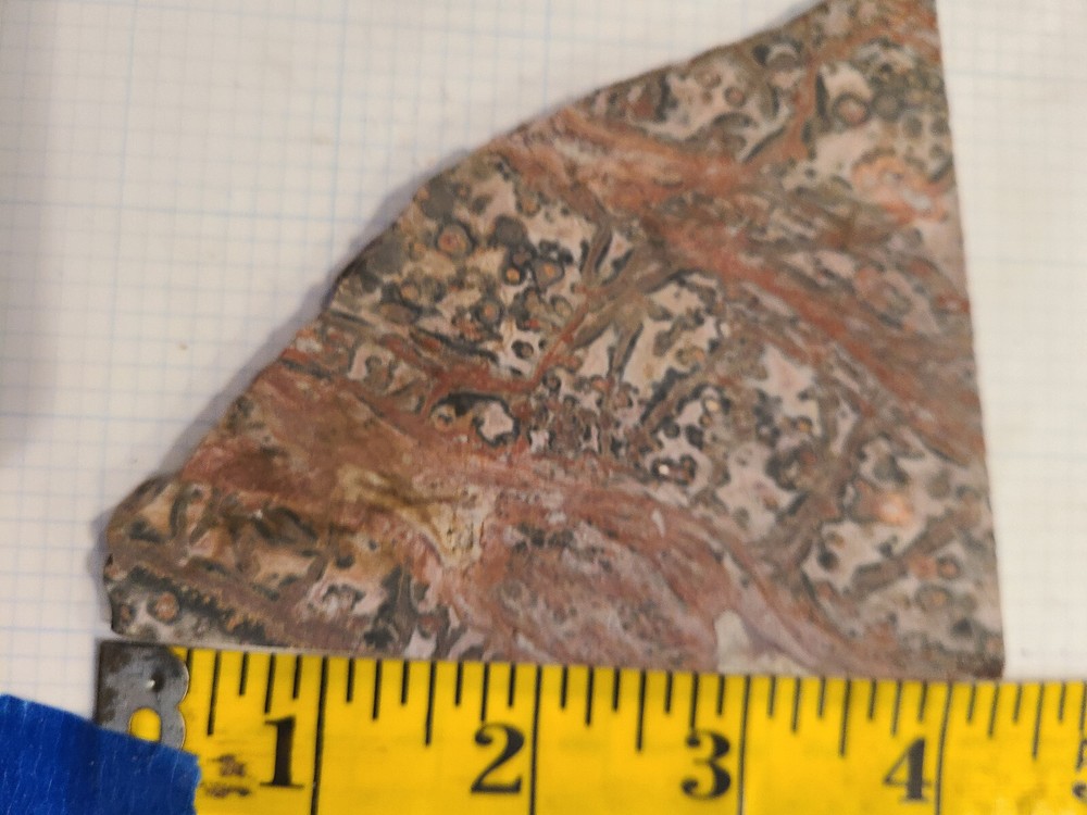 Leopard Skin Jasper Slab