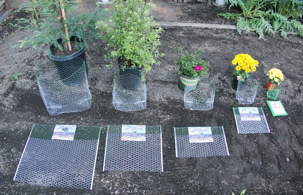 15-Gallon Digger's RootGuardTM Heavy Duty Gopher Wire Baskets, Bulk 6-Pack 