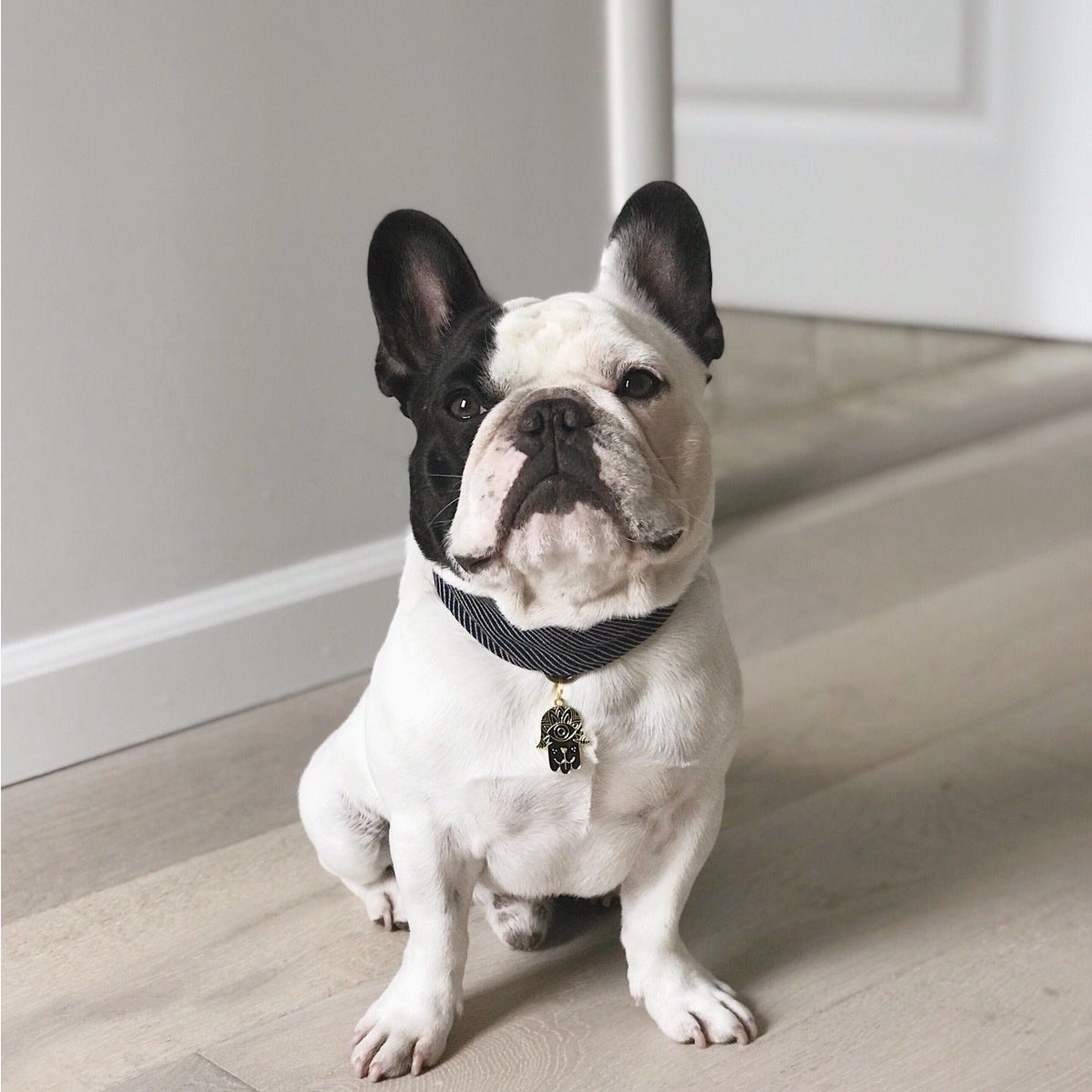 Two Tails Pet Company “BLACK DOG HAMSA ENAMEL” Personalized Dog ID Tag, Black