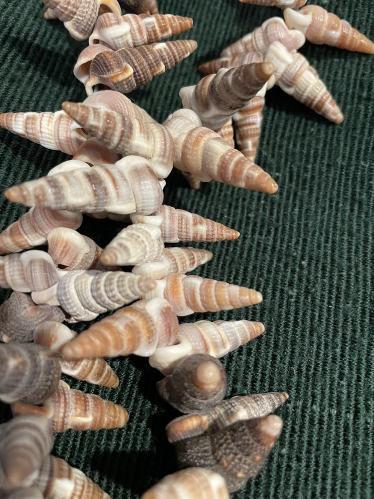 Handmade Shell Necklace Pullover 16"