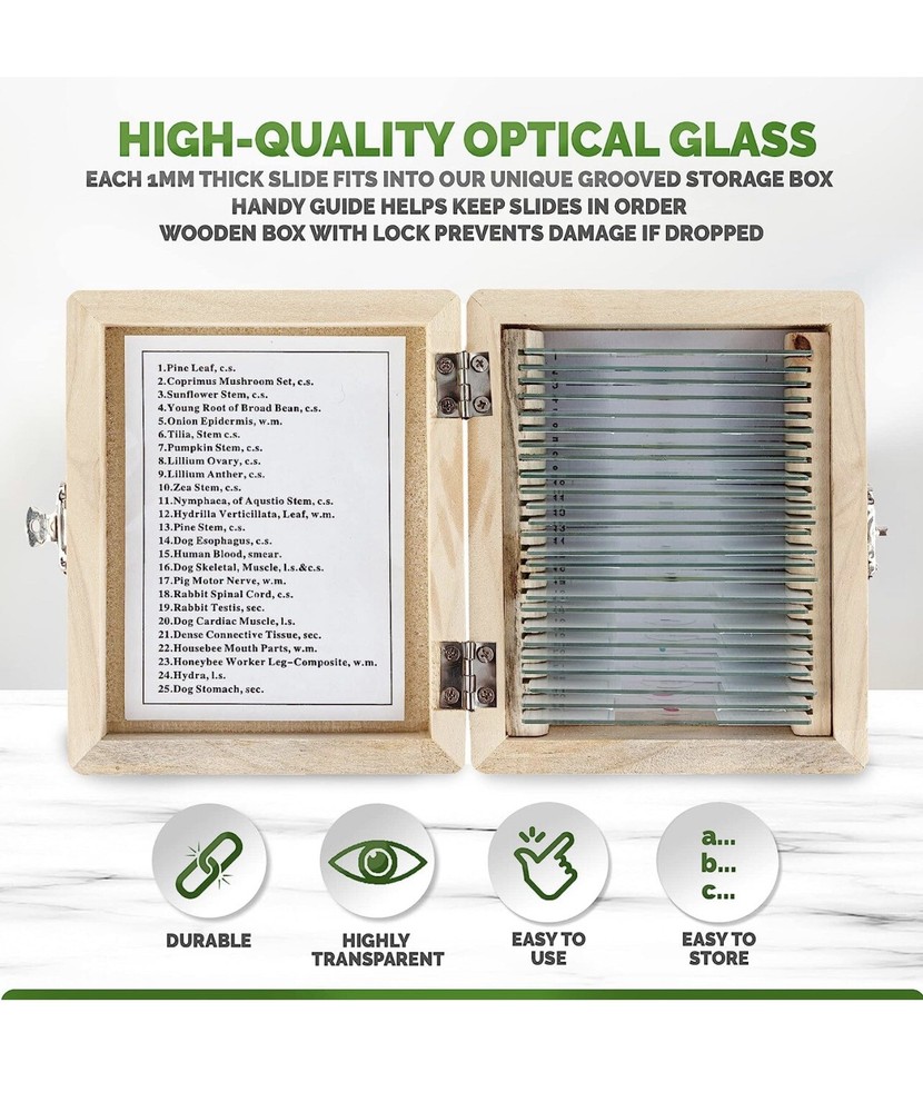 AmScope 25 Prepared Biological Microscope Glass Slides - Open box