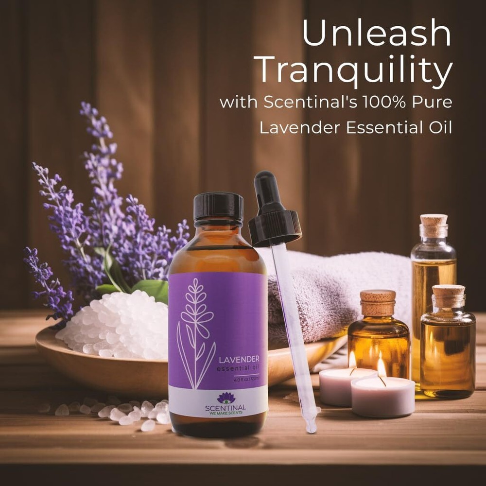 Scentinal Lavender Essential Oil - 100% Pure, Natural & Authentic - Extra Large