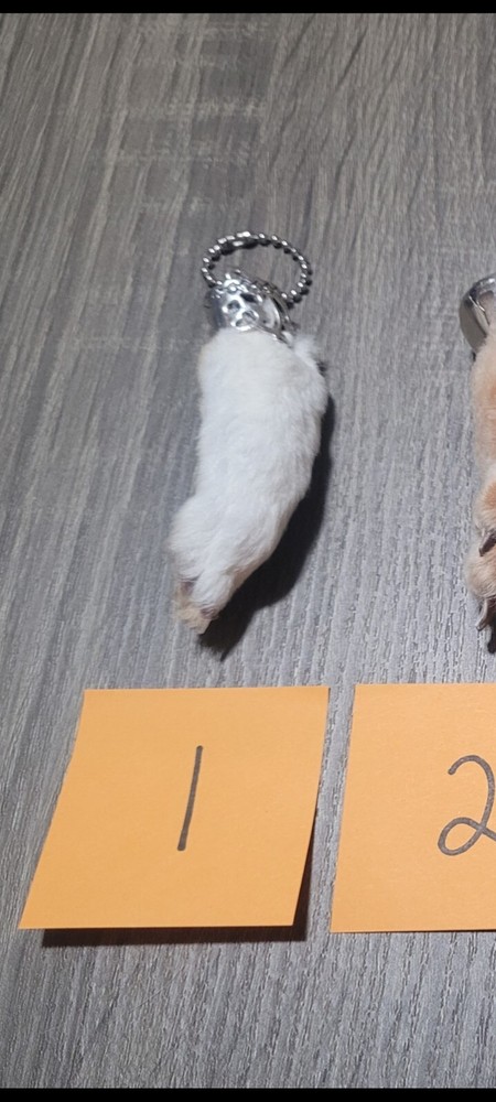 Lucky Rabbit Foot Keychain