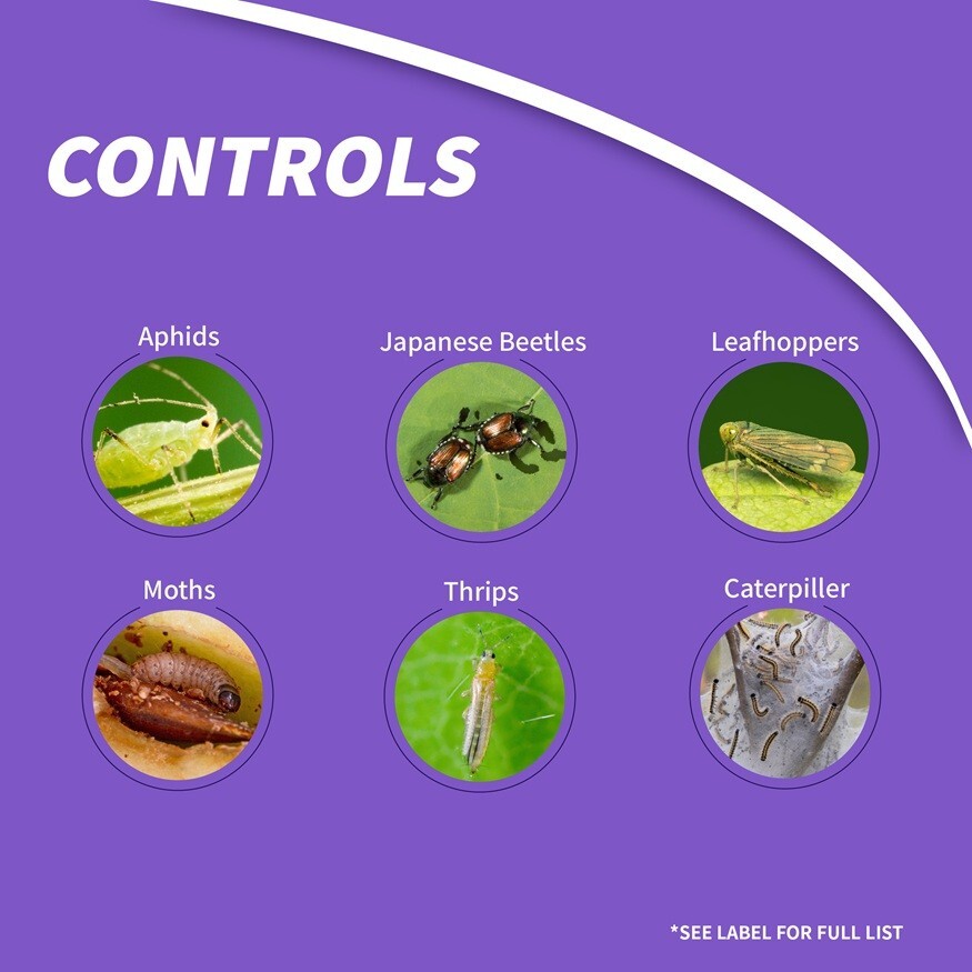 Bonide 2021 Fruit Tree & Plant Guard PT Conc Tree Shrub Insect Disease Control
