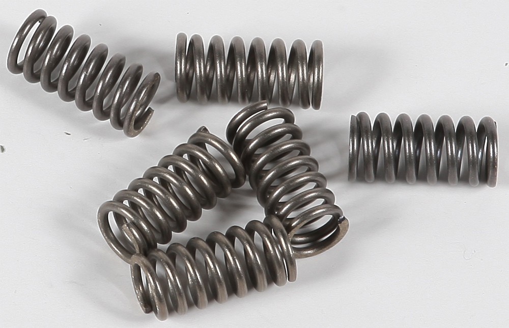 EBC Clutch Spring Set CSK34