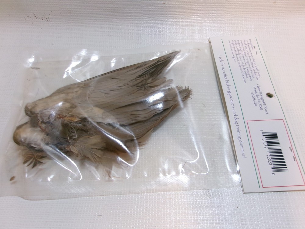 Classic T Designs Wild CHUKAR Wings