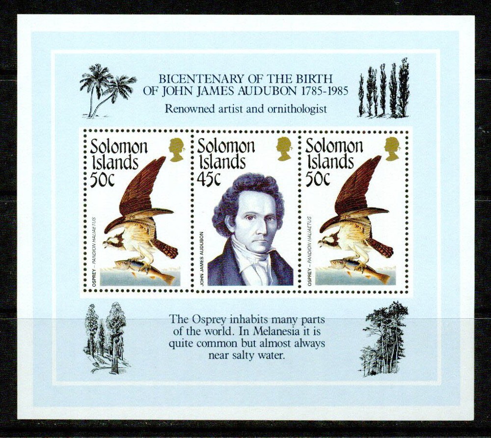 SOLOMON ISLANDS   - 1985 – AUDUBON  – VF  **