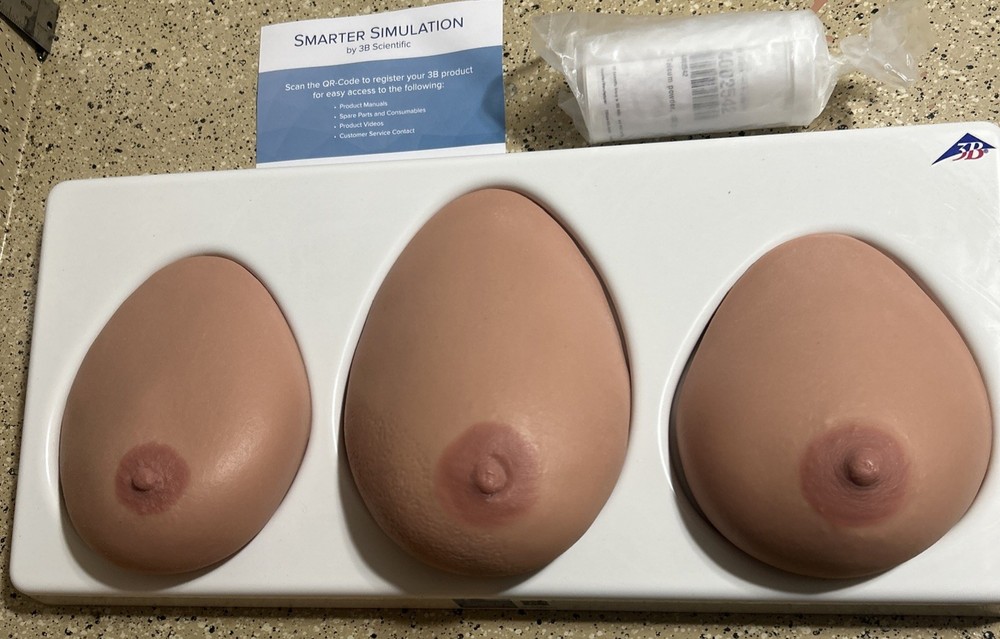 3B Scientific Breast Self Examination model, three single breasts on base L55