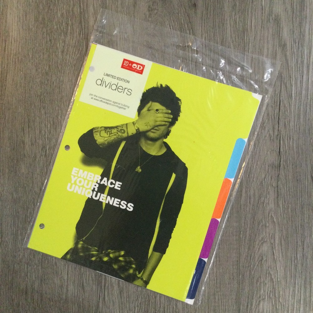 NEW One Direction: OD Divider Tab Set, 2013 RARE