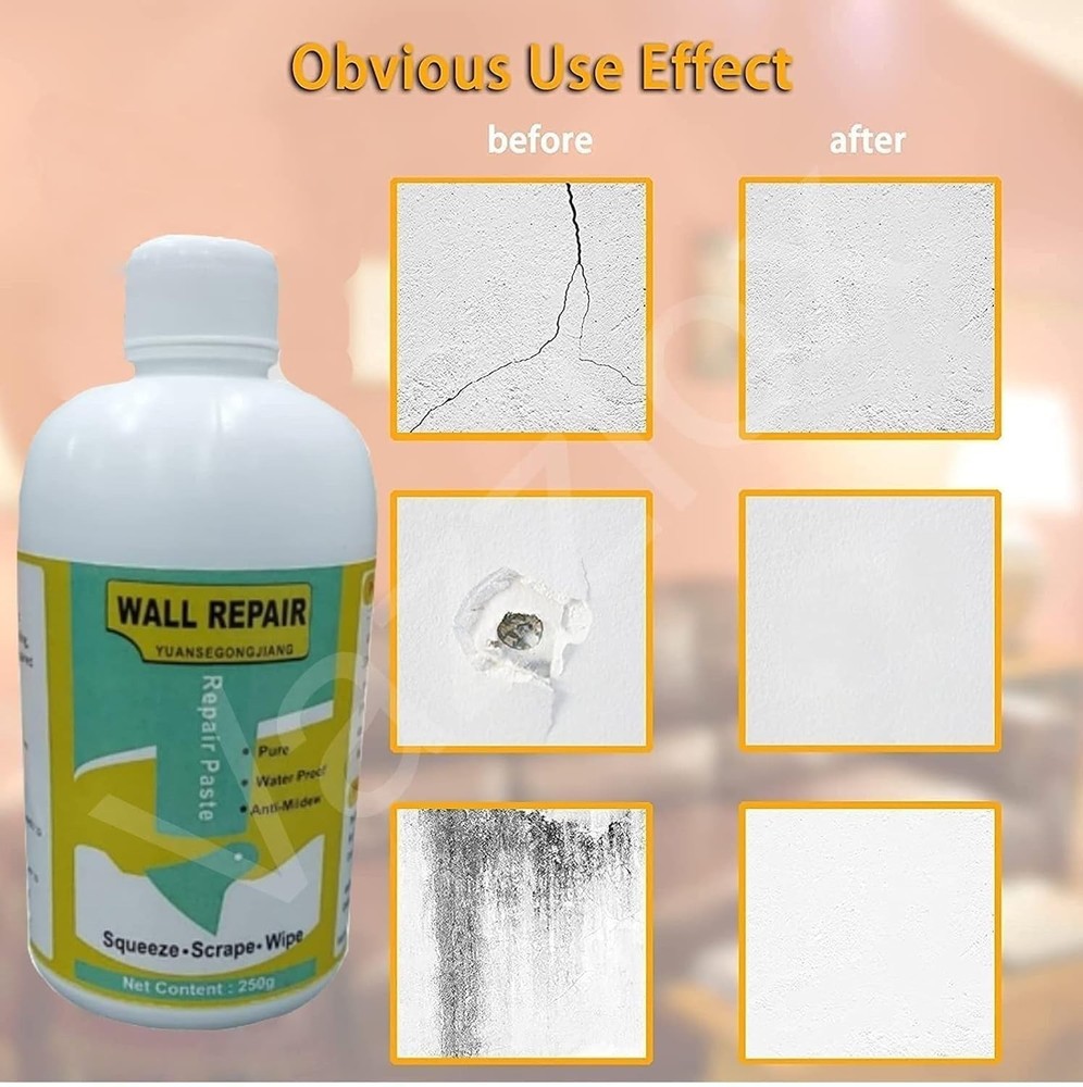 Wall Crack Repair Paste 250 Gram