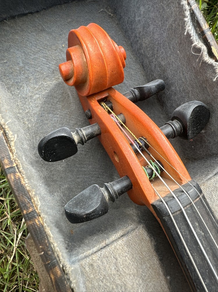 Violin Reghin Romania