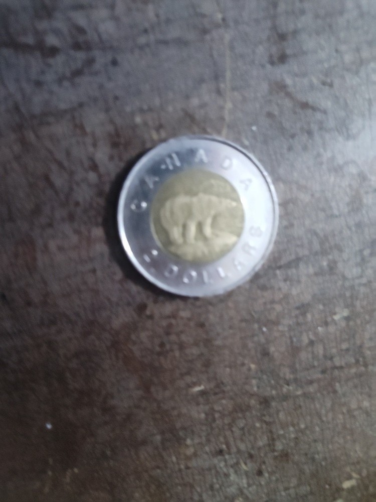 Queen Elizabeth II 1996 2 Dollar coin