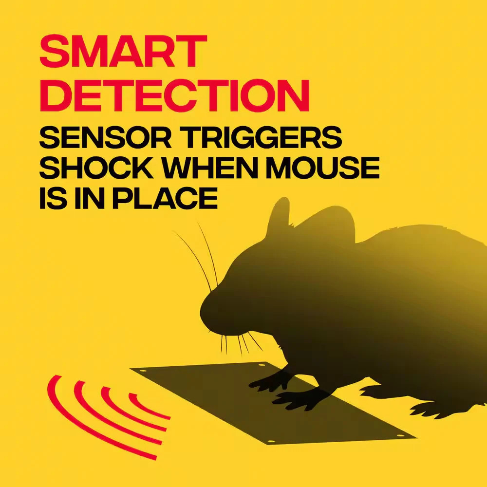 Indoor Electronic Mouse Trap