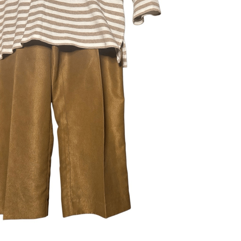 Ruby Rd. Brown Long Sleeve Striped Tunic Size L & Pull On Ankle Pants Size 14P