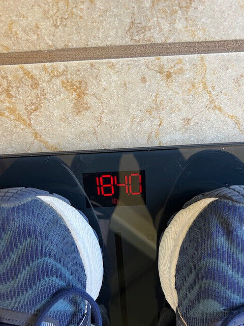 RENPHO Smart Scale ES-CS20M Digital Bathroom Scale TESTED