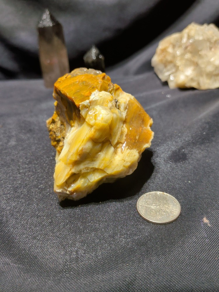 Petrified Wood Fully Opalized MulticolredlSpecimen Natural Form (12.2oz)