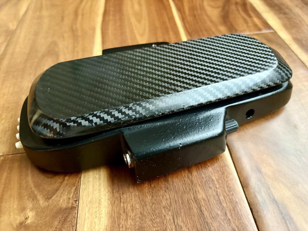 Roger Mayer Vision Wah MINT