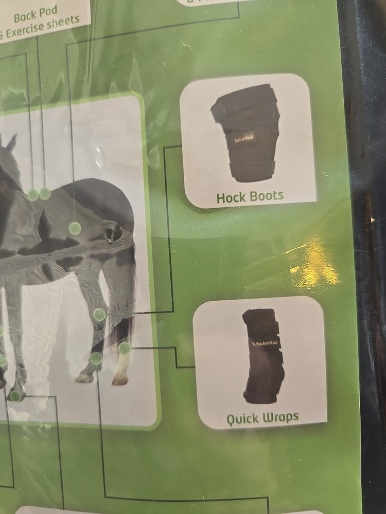 Hock Brace Royal (Equestrian Small)
