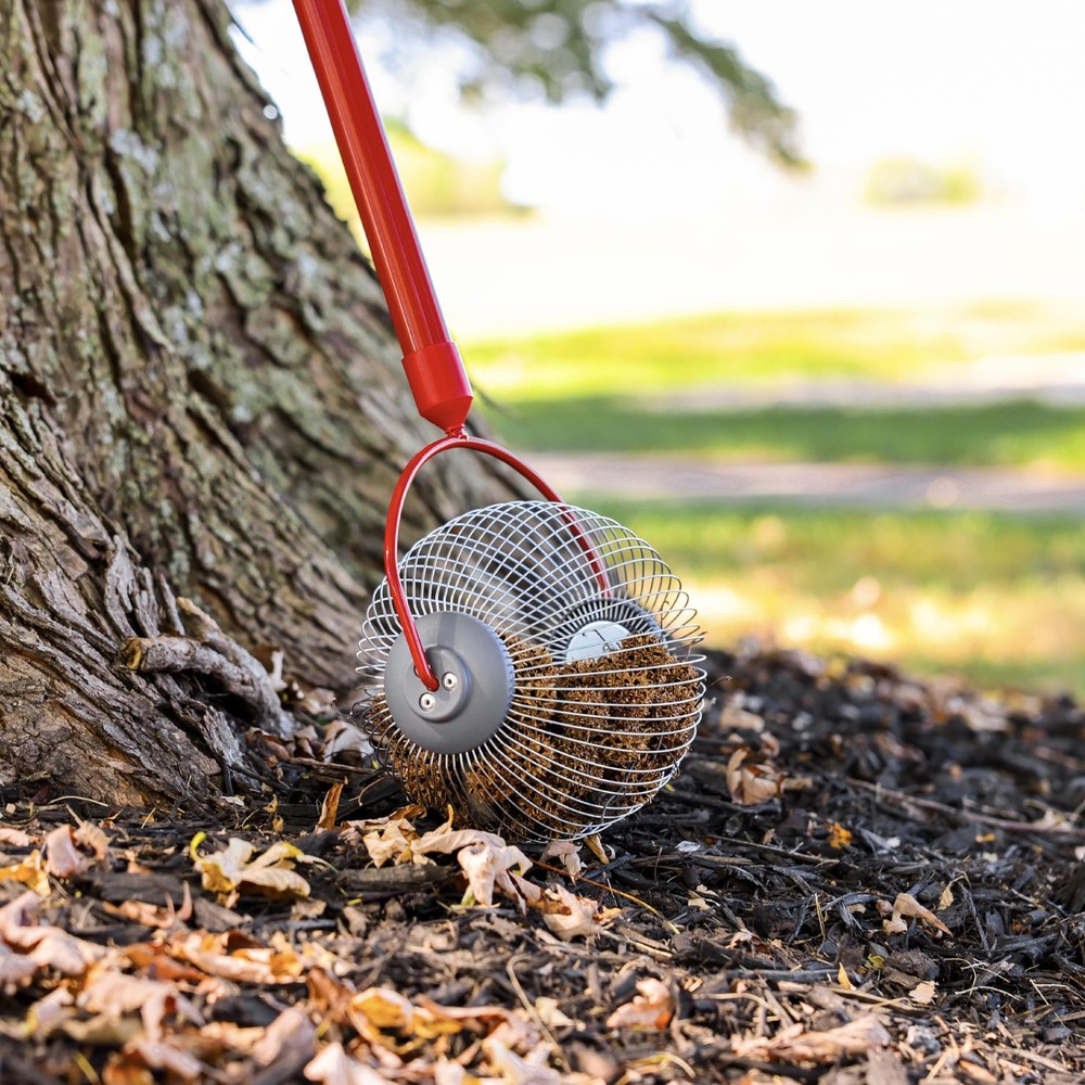 Medium Nut Gatherer Roller – Nut Collector Tool for Pecans, Hickory Nuts, Gol...