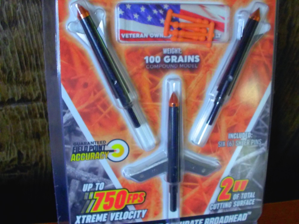 Thorn XV broadhead 100 grain compound