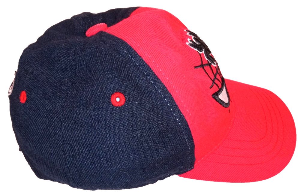 Spider-Man Hat Cap Strap Back Embroidered Eyes Web Kids One Size Marvel