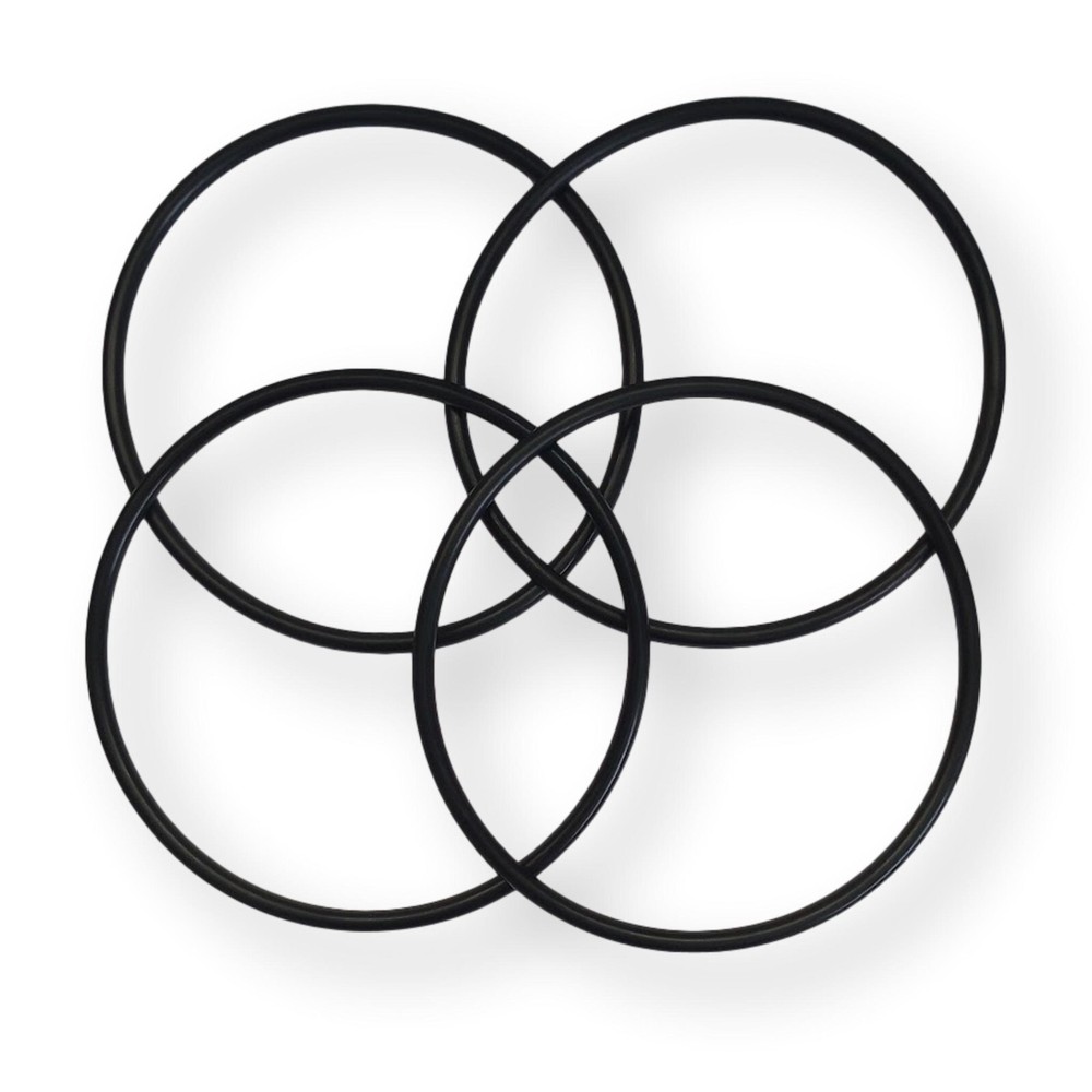 4 Pk Whole House Water Filter O-Ring for Campbell 10800-034