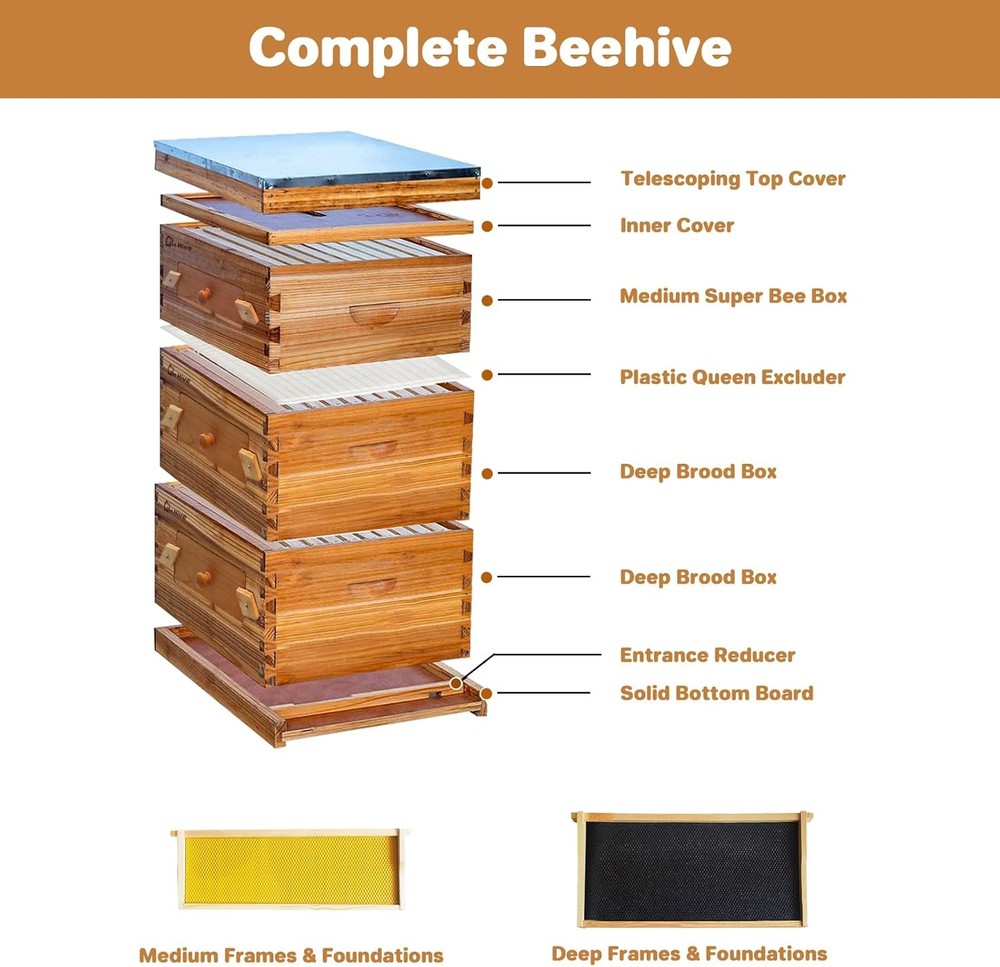 10 Frame Bee Hive Coated + Beeswax Beehive Kit Include 2 Deep & 1 Medium Bee Box