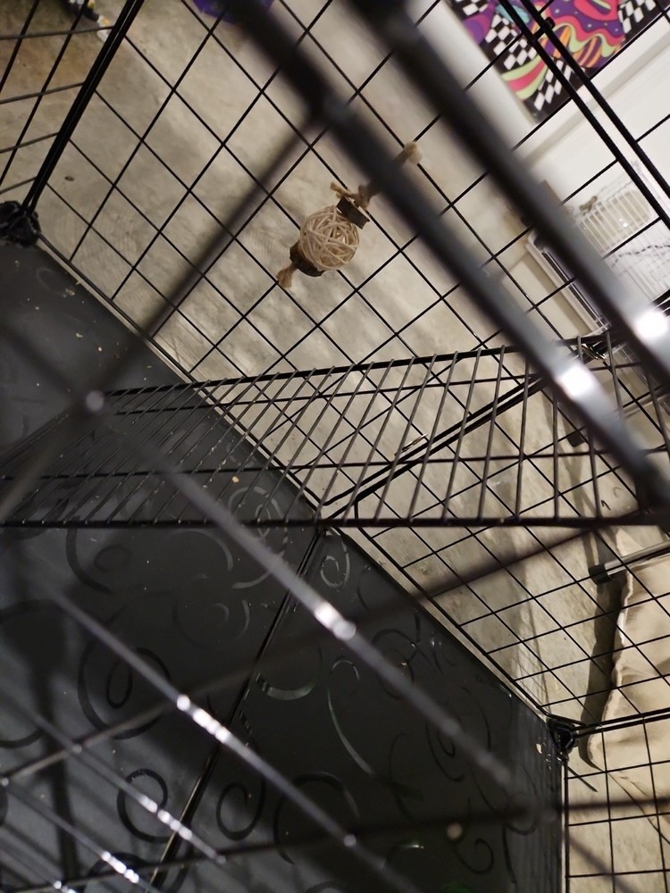 Small/medium Pet Cage Re-sizable And Re Shape-a-ble