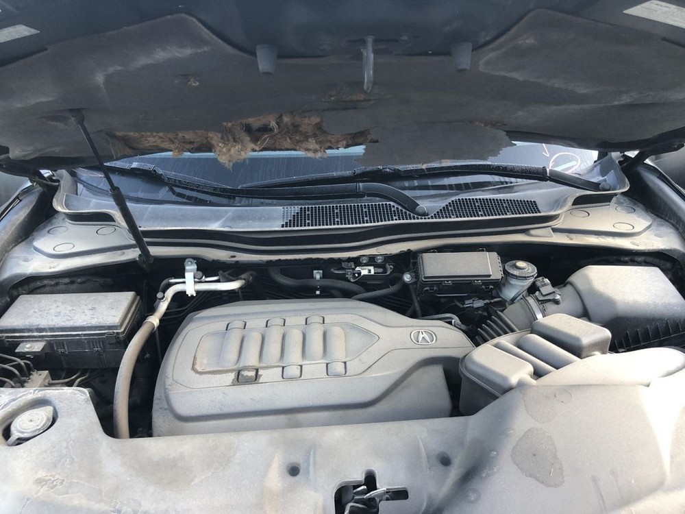 Sun Visor Left Driver Fits 14-20 MDX 953138