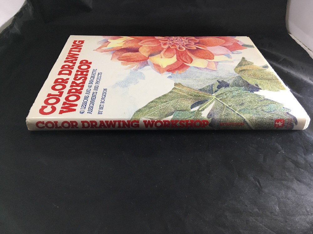 Color Drawing Workshop Project Book by Bet Borgenson Drawing Instruction Book