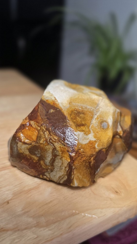 Owyhee Picture Jasper