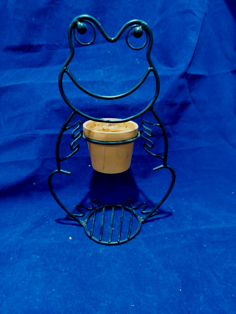 Rustic Distressed Frog Planter Metal Wire Design Free standing