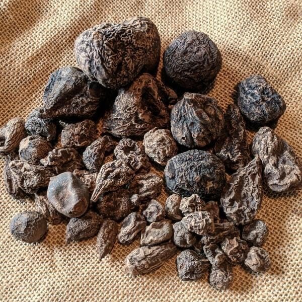 High John root | The Conqueror Root | Wicca Pagan Curio Magick | 8 oz