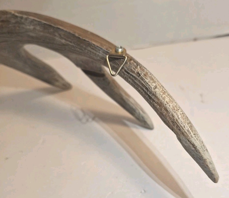 6 Point Deer Antler Wall Mount Antler Decor