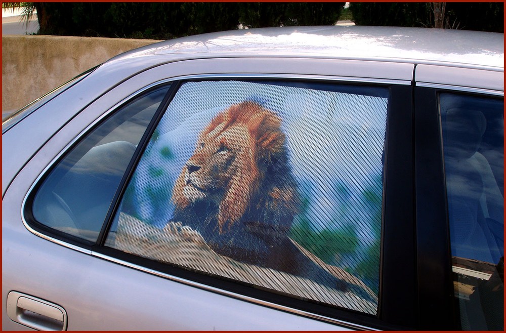 Custom Adhesive Window perforated Vinyl Sticker, Auto Window Decal