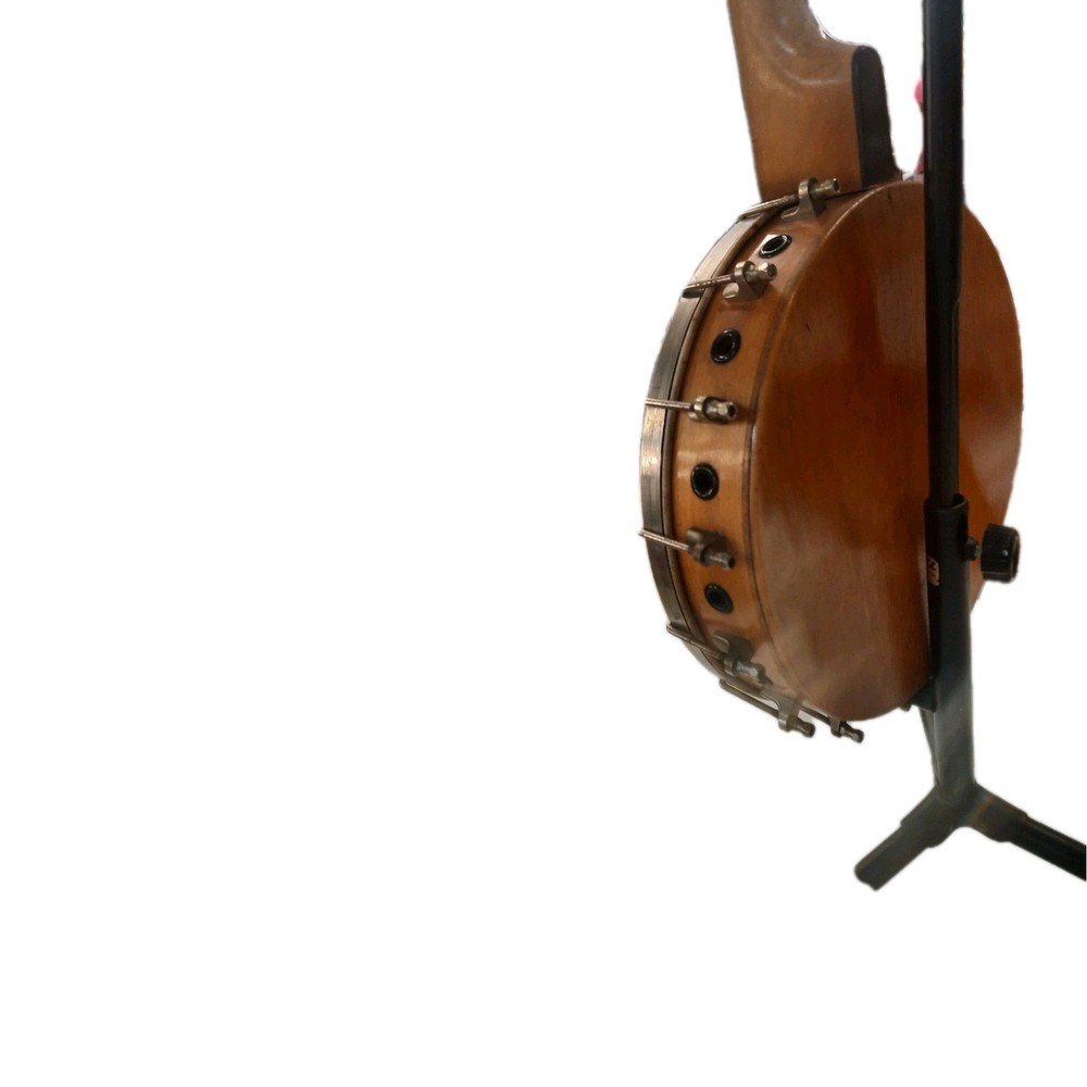 Vintage banjo