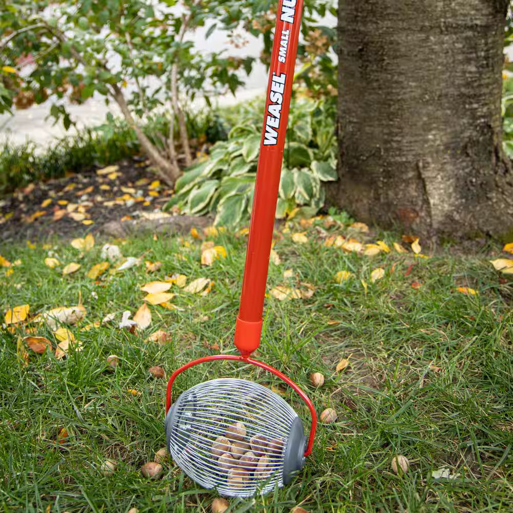 48 In. Weasel Small Nut Gatherer with Smooth Rolling Cage