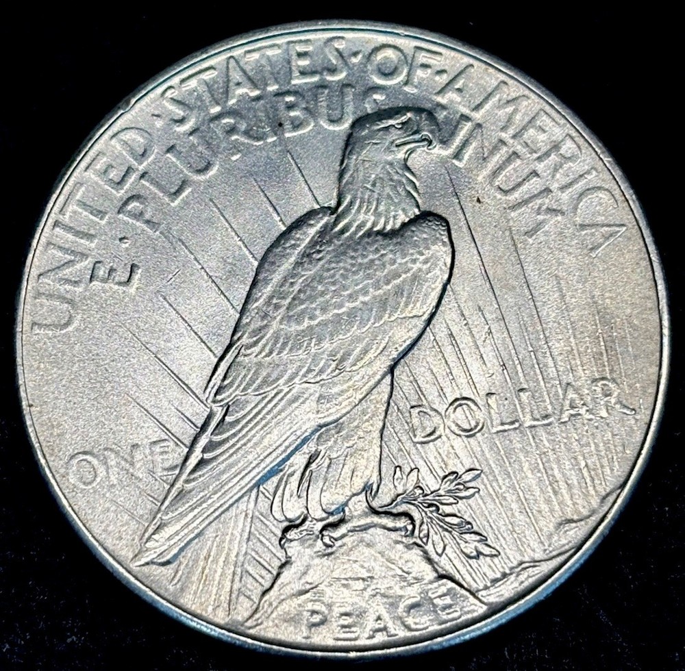 1934 PEACE DOLLAR INCREDIBLE GEM QUALITY.