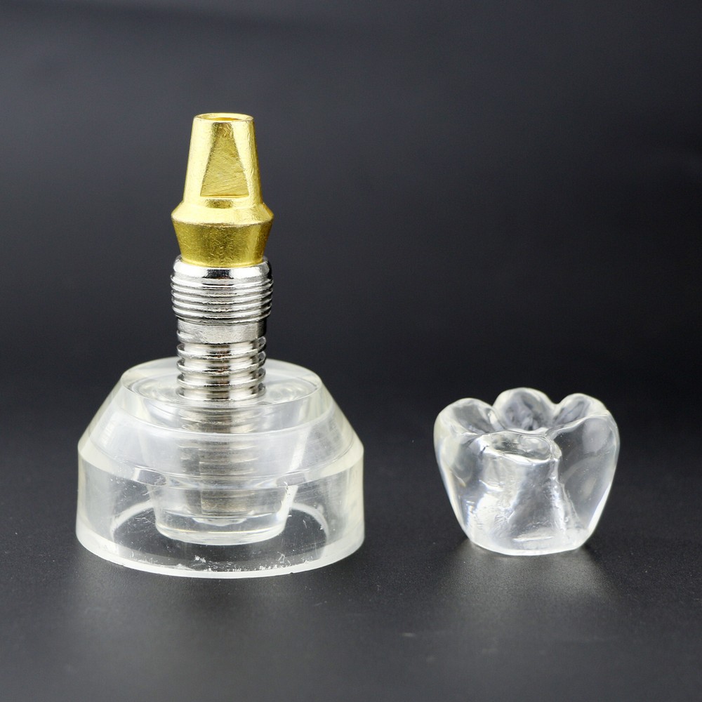 Dental Implant Model Demonstration Teeth Study Teach Model Clear M2020