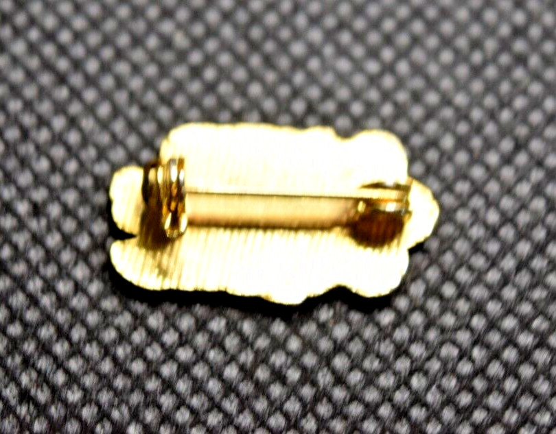 World Class Skier Ski Pin
