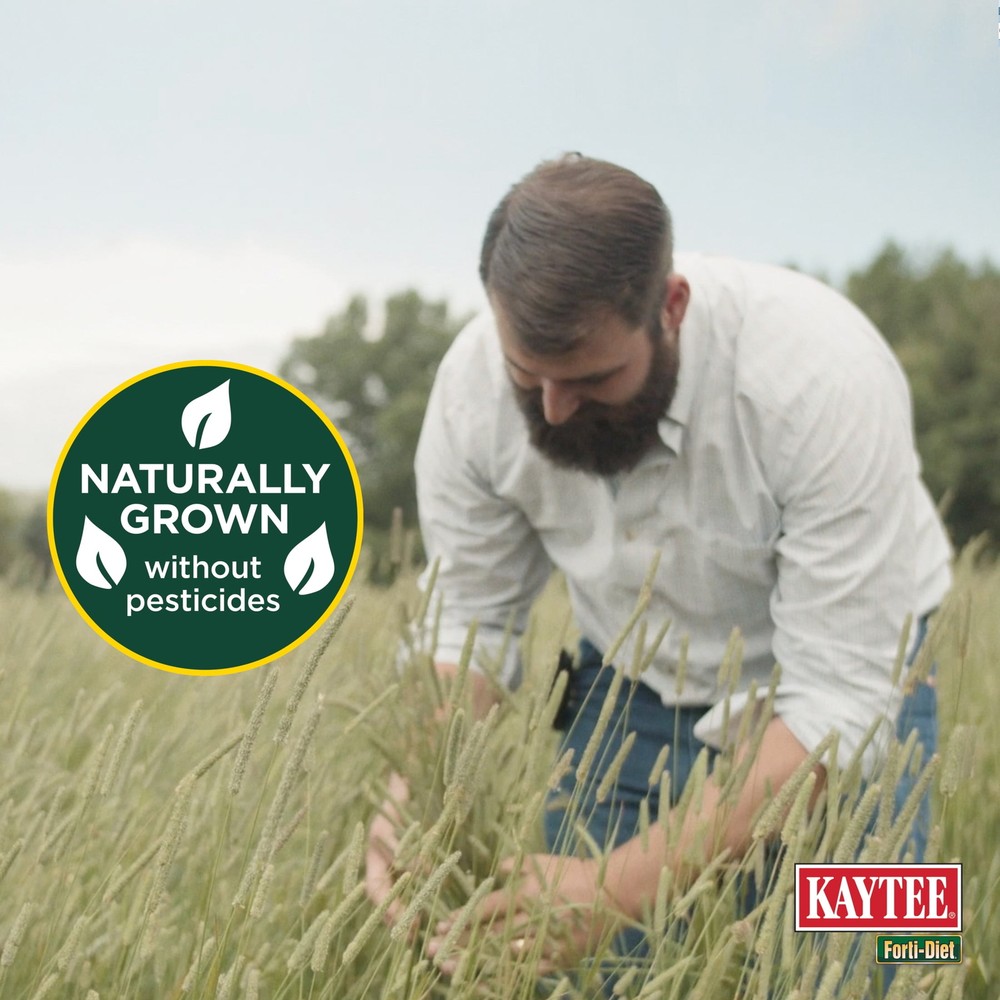 All Natural Timothy Hay , 48 ounce
