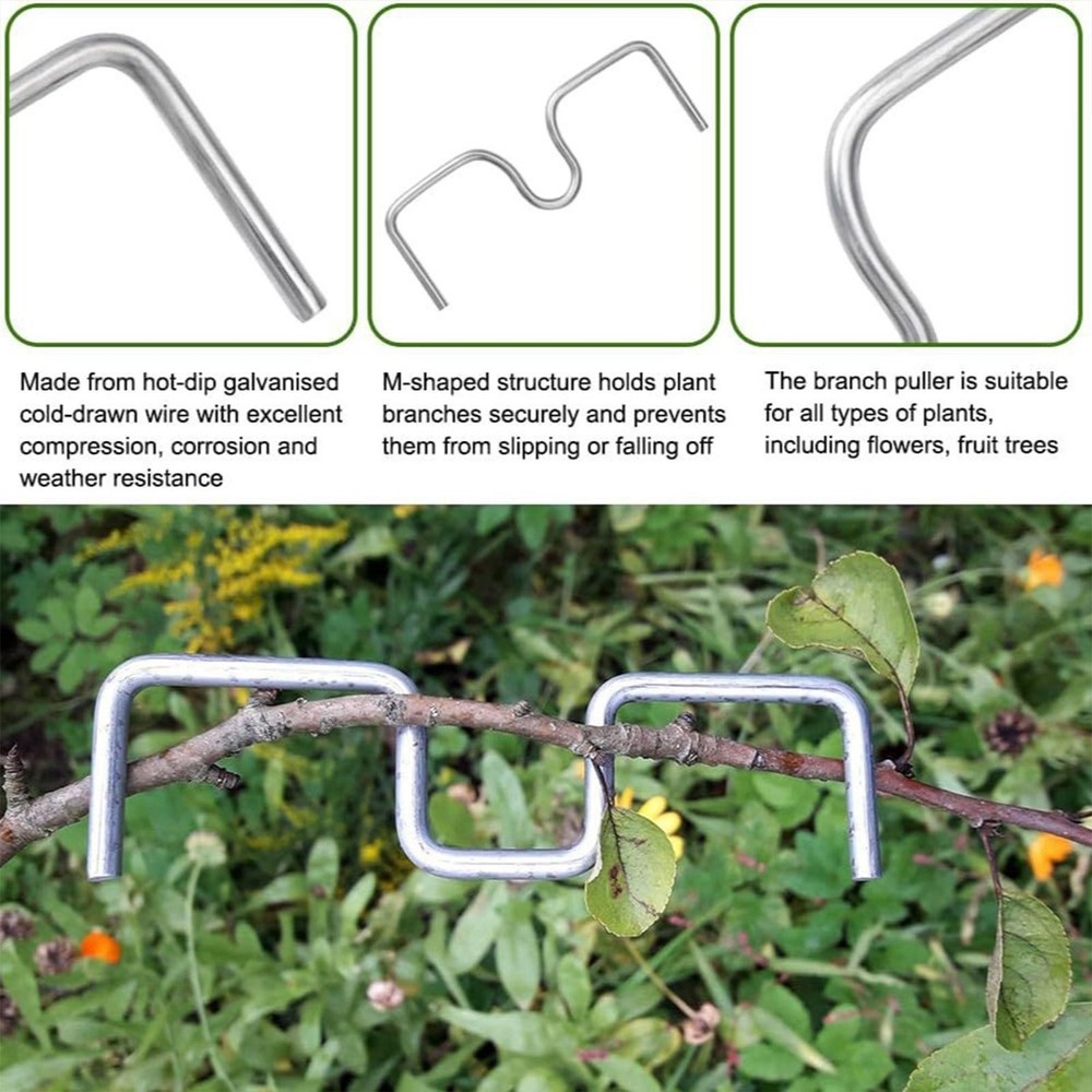 30 Pieces Fruit Tree Branch Puller Plant Support Orchard Tool