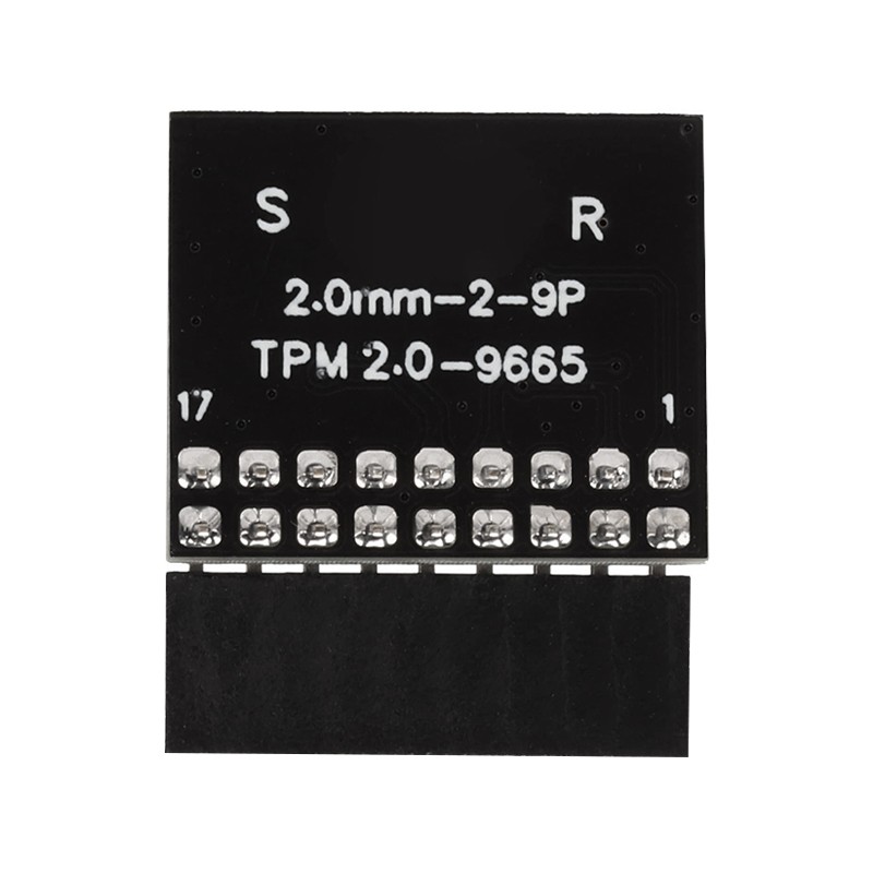 TPM 2.0 Module LPC 18 Pin Remote Card Encryption Security Module for ASROCK