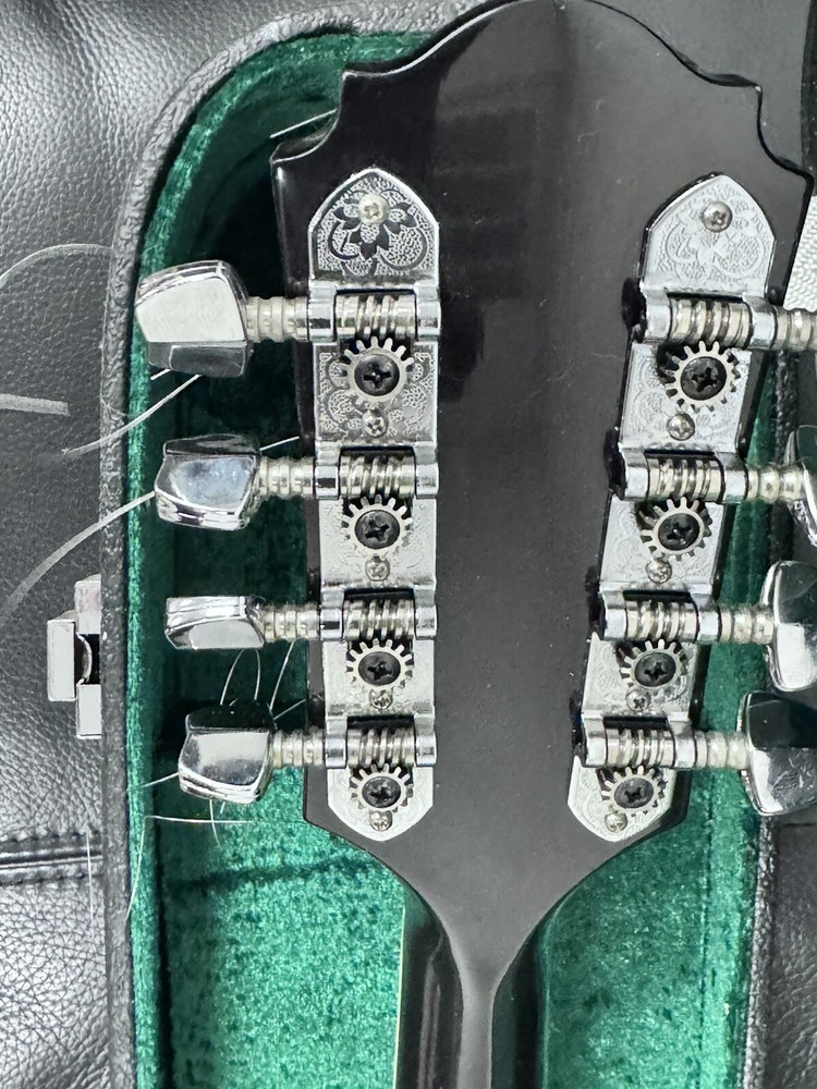 OSCAR SCHMIDT OM 10, Hard Case Great Shape