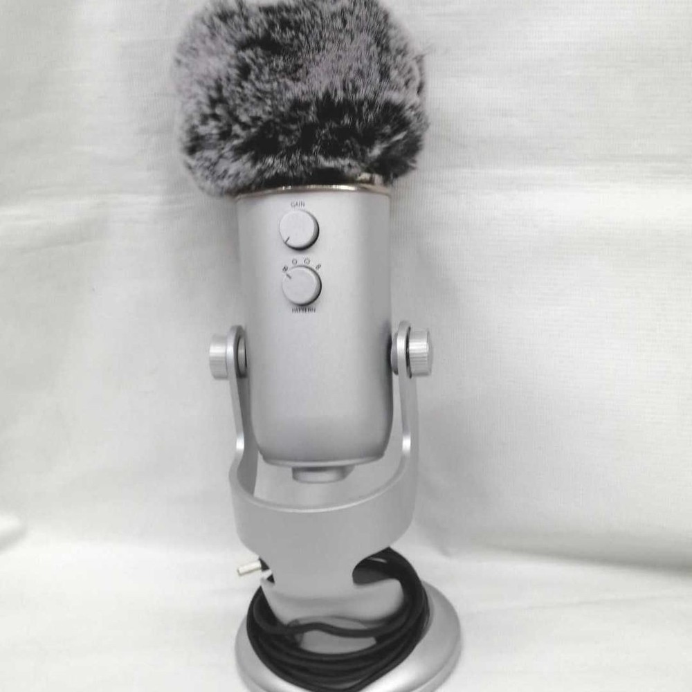 BLUE Condenser Microphone A00121 Used