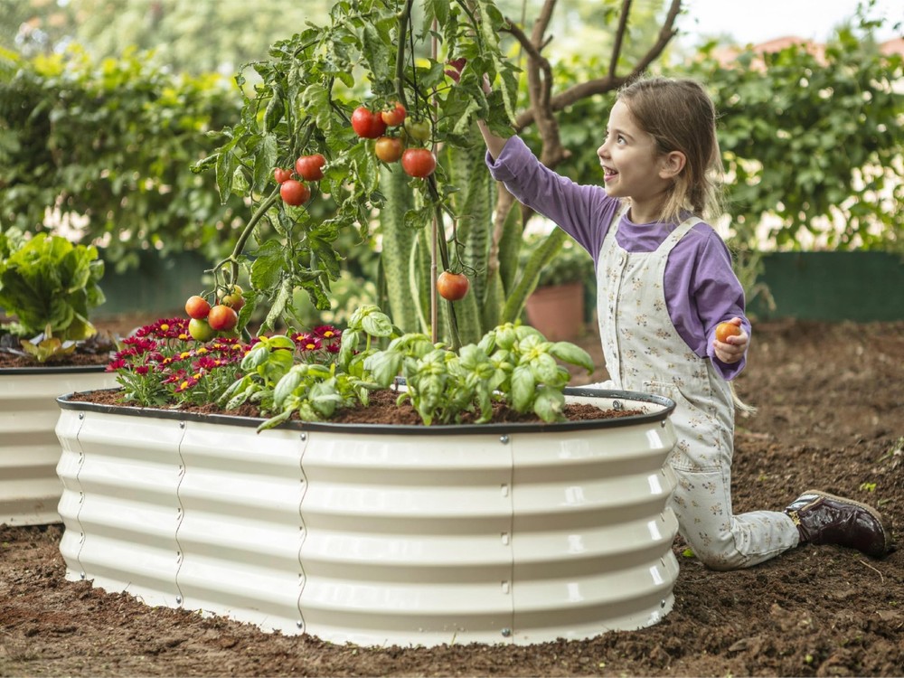 Plant & Plot Galvanized Raised Garden Beds Outdoor // 4×2×1 ft Planter